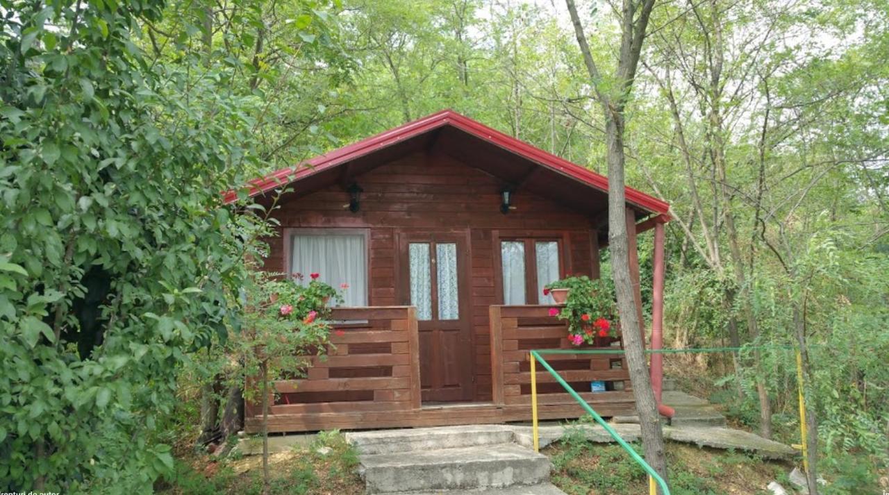 Gratca Nr 164 Orsova Villa Ngoại thất bức ảnh