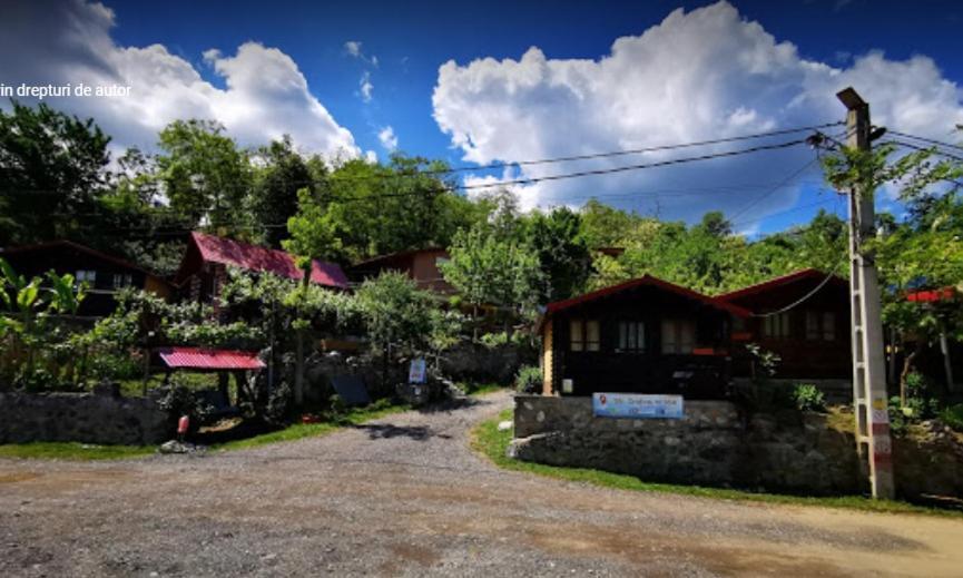 Gratca Nr 164 Orsova Villa Ngoại thất bức ảnh