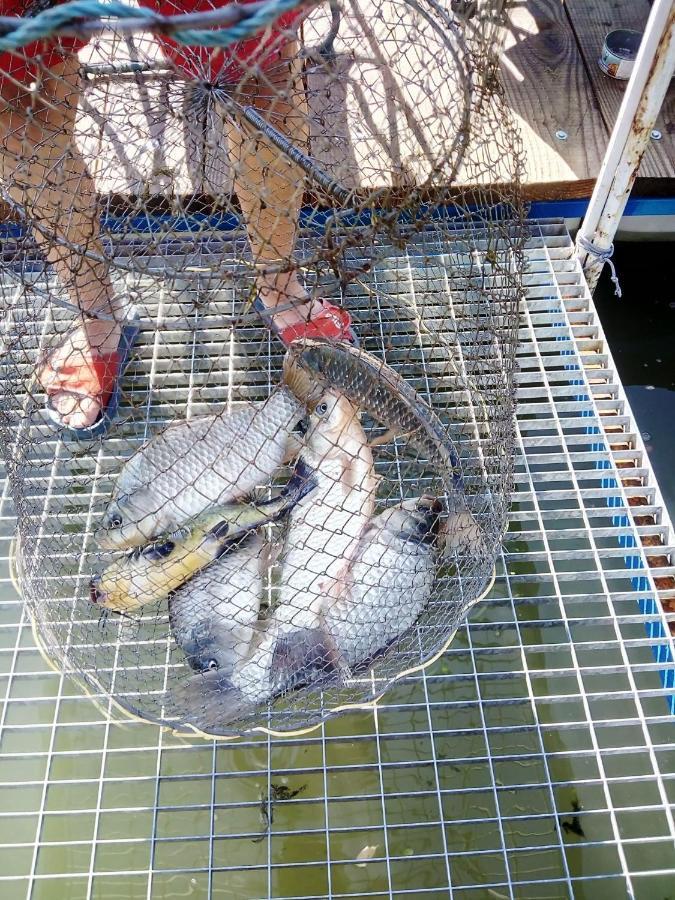 Gratca Nr 164 Orsova Villa Ngoại thất bức ảnh